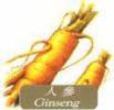  Ginseng Extract